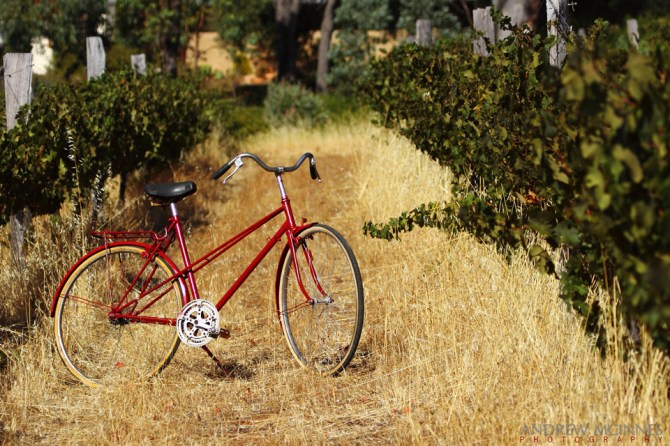 11_Hotham-Ridge-Winery-2AM-005185