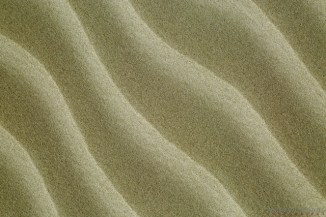 Dunes_Port-Denison-2AM-002209