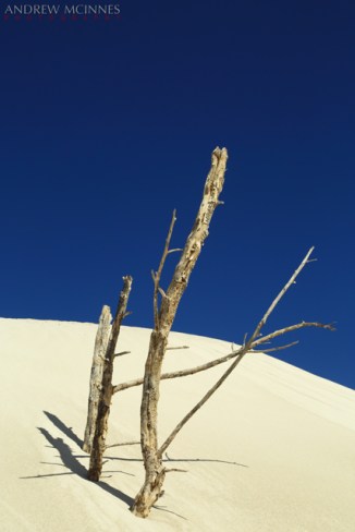 Dunes_Port-Denison-2AM-002211