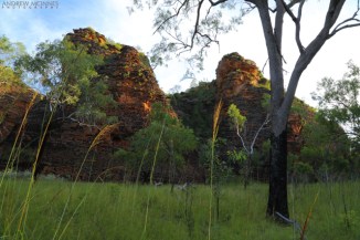 Hidden-Valley-National-Park-2AM-003180