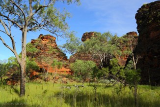 Hidden-Valley-National-Park-2AM-003273