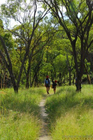 Hidden-Valley-National-Park-2AM-003277