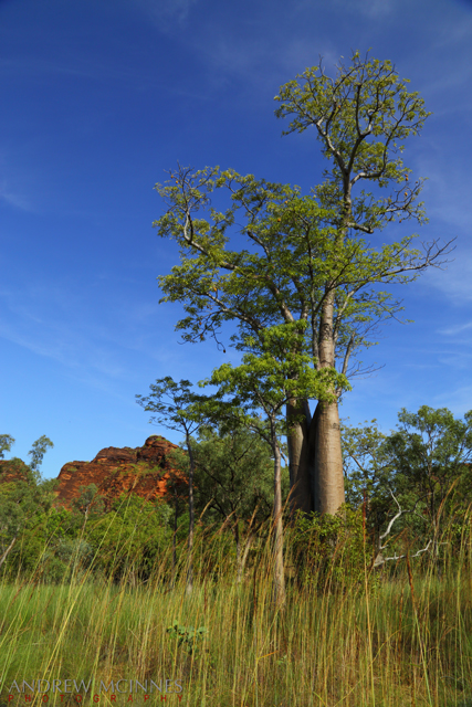 Hidden-Valley-National-Park-2AM-003281