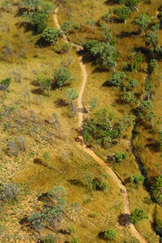 Kimberley-Savanna-2AM-003528