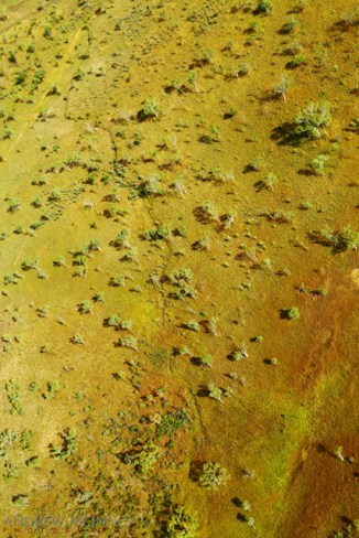 Kimberley-Savanna-2AM-003535