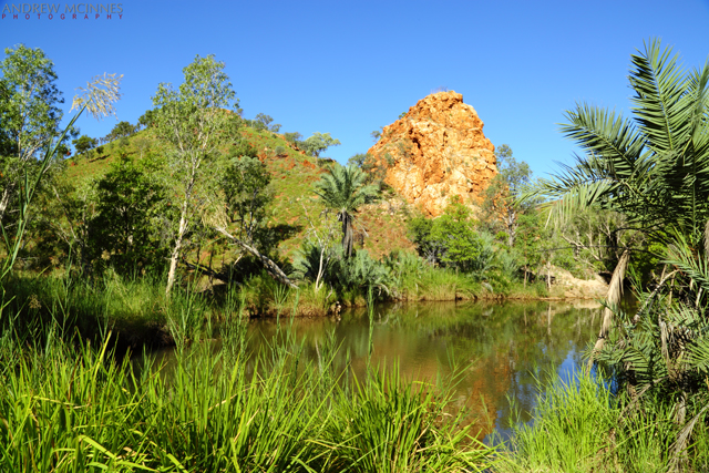 Palm-Springs-2AM-002836
