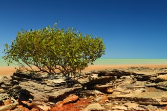 Roebuck-Bay_Broome-2AM-002753