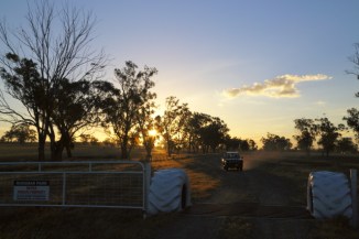 Farm Gate 2AM-007885