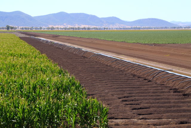 Irrigation Ditch 2AM-007993