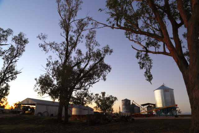 Silos and Trees 2AM-007898