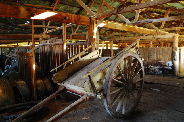 Woolshed 2AM-007946