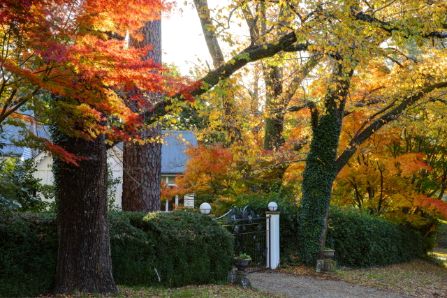 Autumn Colour 2AM 8175-7 HDR