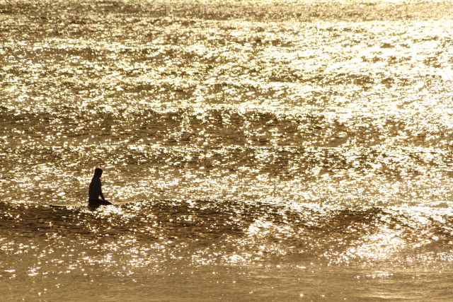 Alexandra Headland 2AM-001655