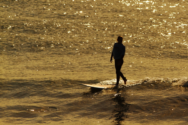 Alexandra Headland 2AM-001672