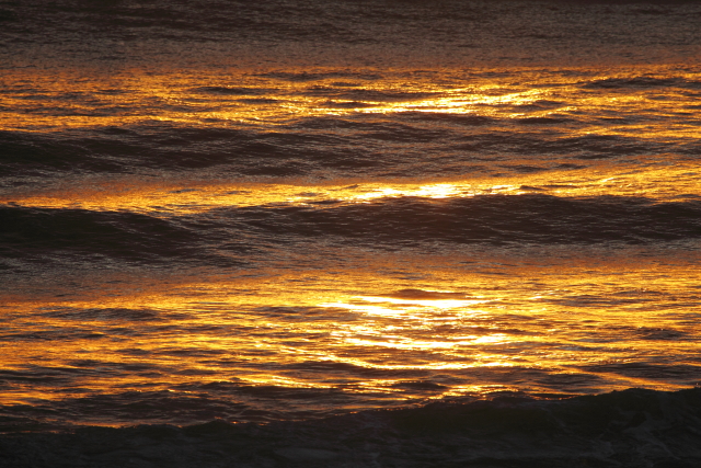 Alexandra Headland 2AM-002151