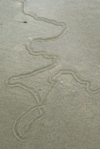 Beach Tracks 2AM-007195