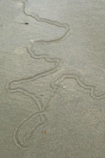 Beach Tracks 2AM-007195