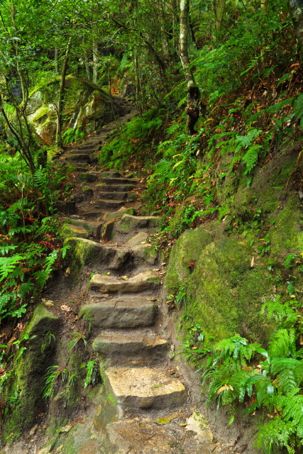 Empress Falls 2AM-009335