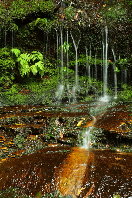 Empress Falls 2AM-009339