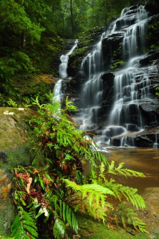 Empress Falls 2AM-009358