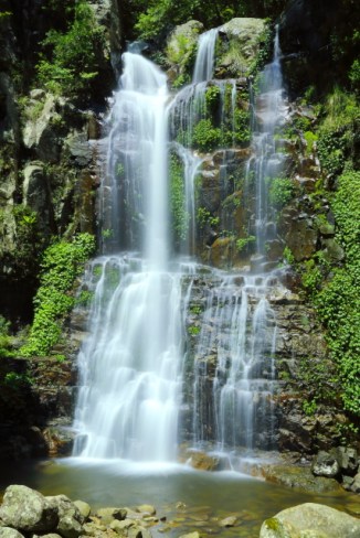 Minnamurra Falls 2AM-007183
