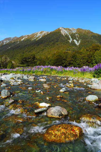Cascade Creek 2AM-000835