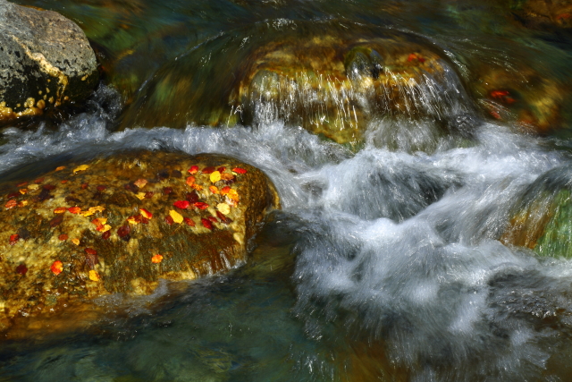 Cascade Creek 2AM-000844