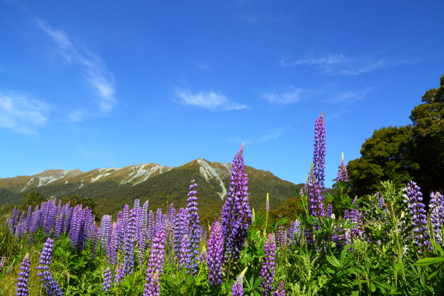 Cascade Creek 2AM-000863