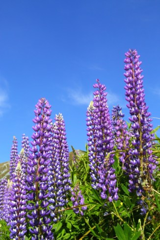 Cascade Creek 2AM-000865