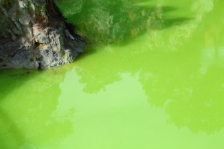 Devils Bath - Waiotapu 2AM-000106