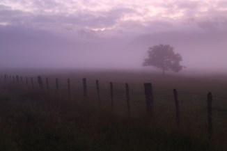 Fox Glacier 2AM-000988. ©Andrew McInnes