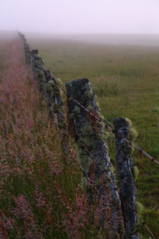 Fox Glacier 2AM-000995. ©Andrew McInnes