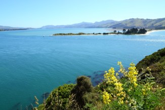 Harrington Point 2AM-000580