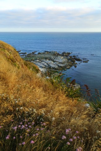 Kaikoura Peninsula 2AM-000353. ©Andrew McInnes