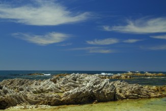 Kaikoura Peninsula 2AM-000455. ©Andrew McInnes