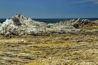 Kaikoura Peninsula 2AM-000462. ©Andrew McInnes