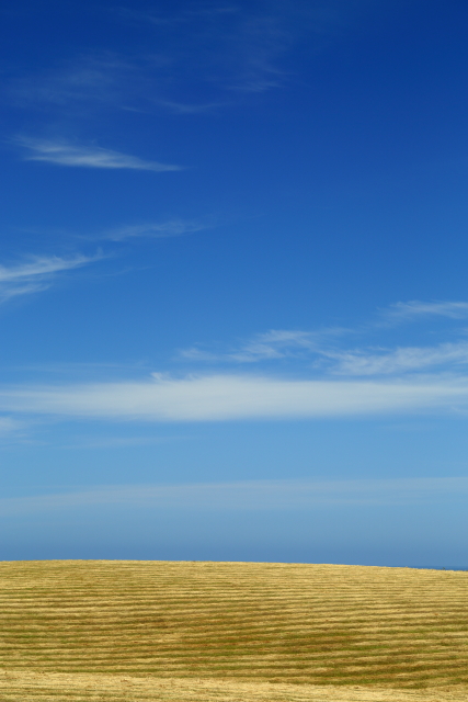 Kaikoura Peninsula 2AM-000482. ©Andrew McInnes