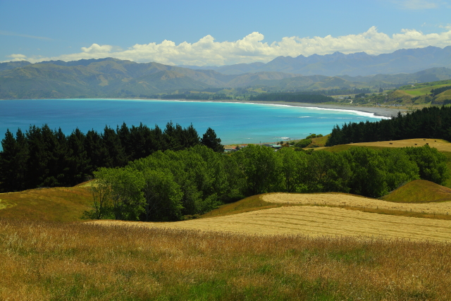 Kaikoura Peninsula 2AM-000484. ©Andrew McInnes