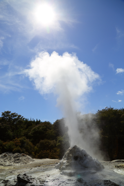 Lady Knox Geyser - Waiotapu 2AM-000226