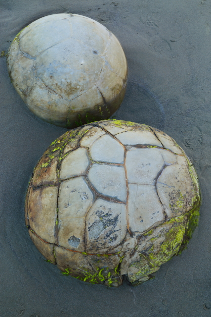 Moeraki Boulders 2AM-000500