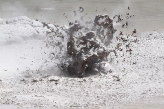 Mud Pool - Waiotapu 2AM-004120