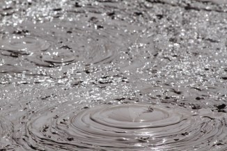 Mud Pool - Waiotapu 2AM-004163