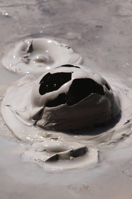 Mud Pool - Waiotapu 2AM-004184