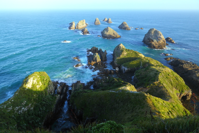 Nugget Point Lighthouse 2AM-000754