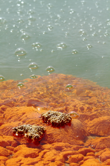 The Champagne Pool - Waiotapu 2AM-004249