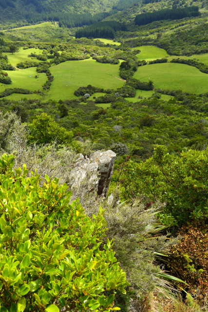 The Organ Pipes 2AM-000576