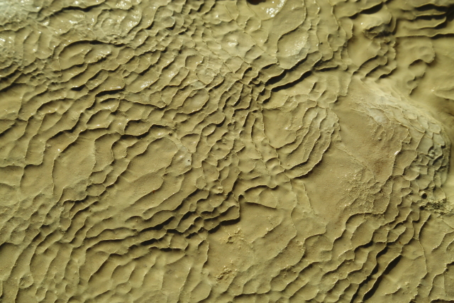 The Primrose Terrace - Waiotapu 2AM-000166