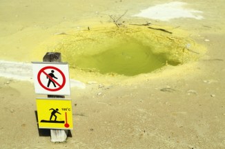 The Primrose Terrace - Waiotapu 2AM-000297