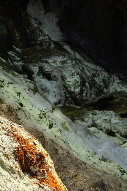 Waiotapu - Rotorua 2AM-000175