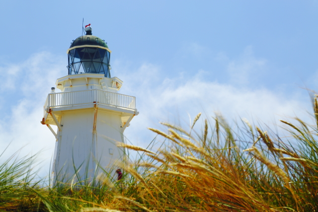 Waipapa Point Lighthouse 2AM-000622